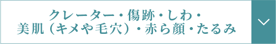 クレーター・傷跡・しわ・美肌（キメや毛穴）・赤ら顔・たるみへのリンクボタン