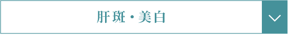 クレーター・傷跡・しわ・美肌（キメや毛穴）・赤ら顔・たるみへのリンクボタン