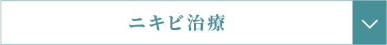 クレーター・傷跡・しわ・美肌（キメや毛穴）・赤ら顔・たるみへのリンクボタン